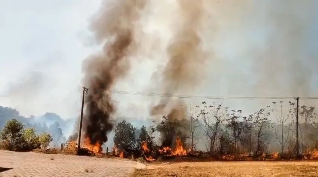 WhatsApp Image 2026-01-08 at 2.28.28 PM